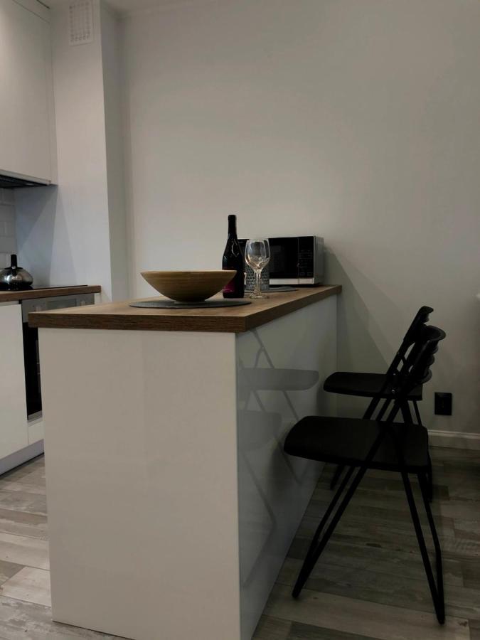Downtown Apartment Torun